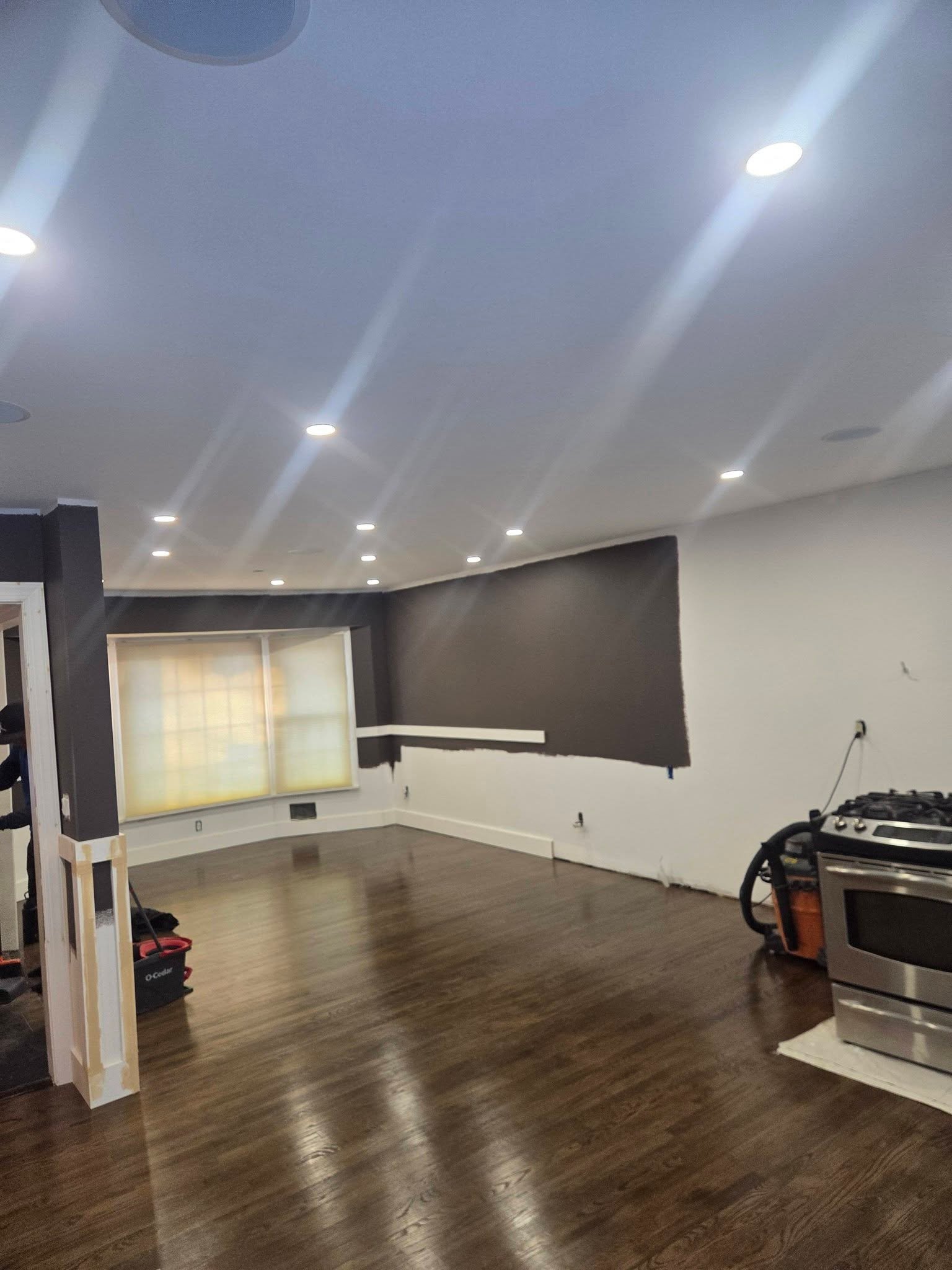 Finished basement with modern lighting and flooring